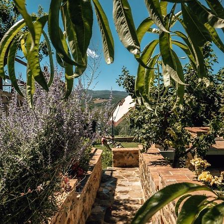 شقة Montenero d'Orcia  في Little Val D'Orcia المظهر الخارجي الصورة