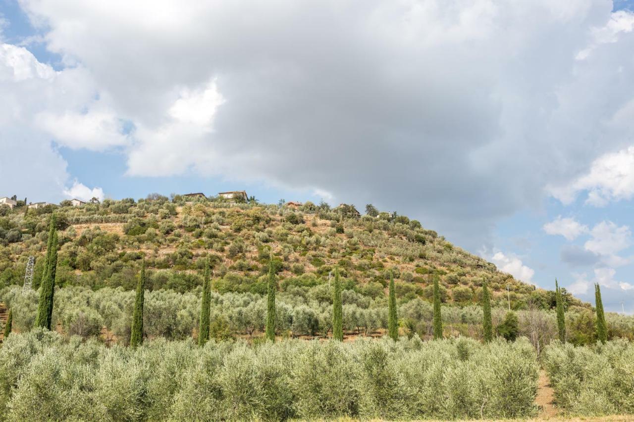 شقة Montenero d'Orcia  في Little Val D'Orcia المظهر الخارجي الصورة