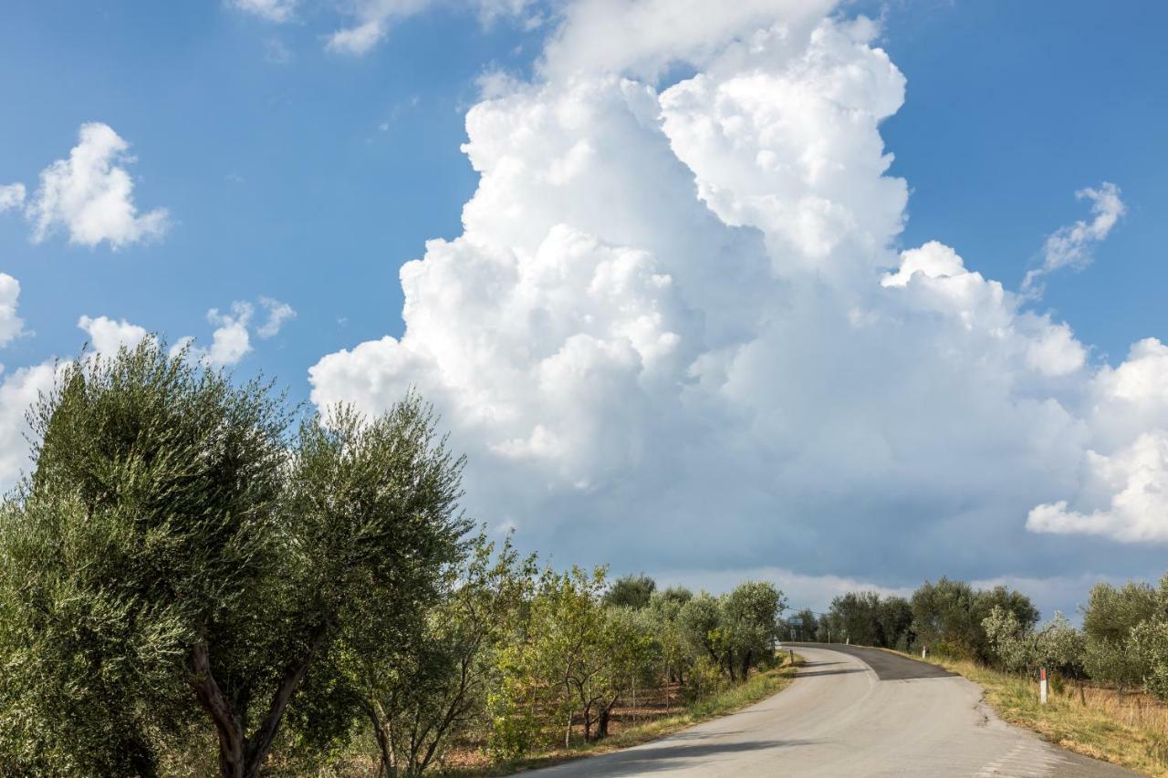 شقة Montenero d'Orcia  في Little Val D'Orcia المظهر الخارجي الصورة